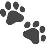 Image of Dog Paw Prints