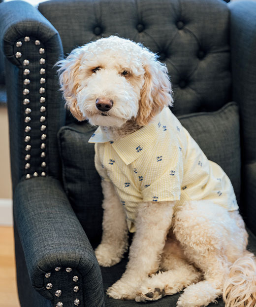 Cooper James Mossman "Super Cooper" Photo